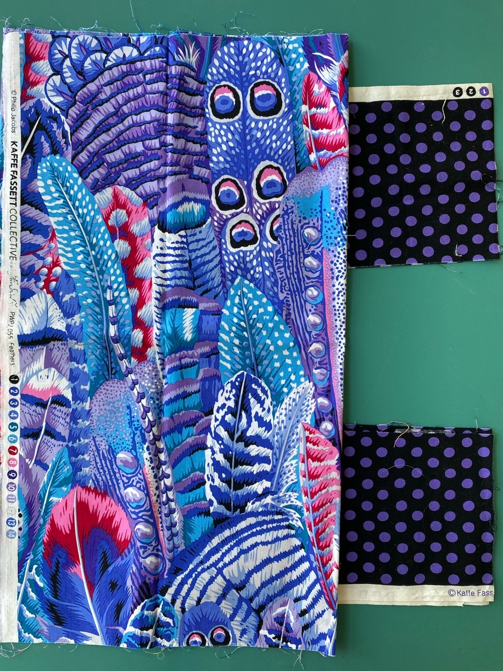 Kaffe Fassett Fabrics: "Feathers" (.5yd) & "Spot Black" pieces